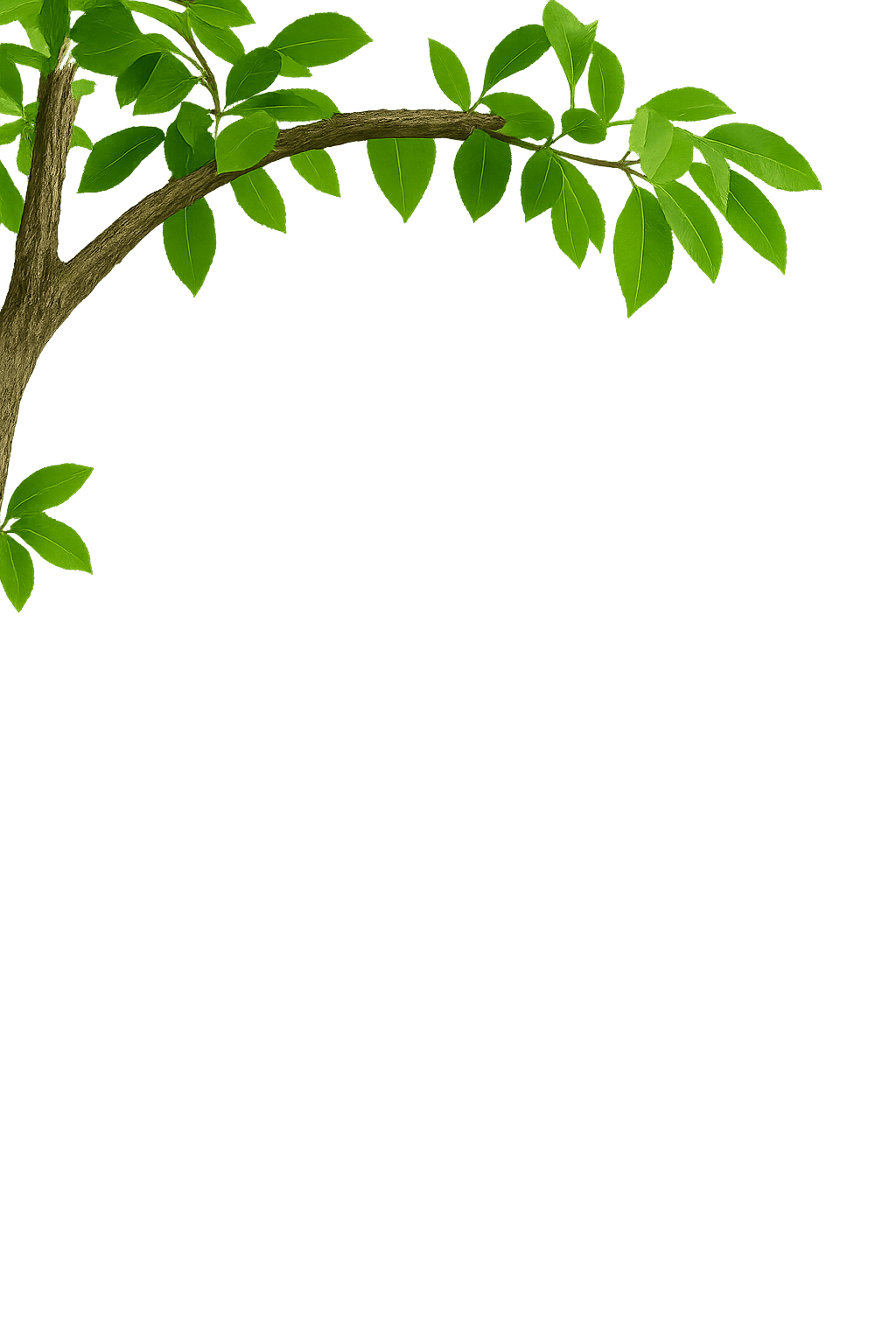 Decorative branch